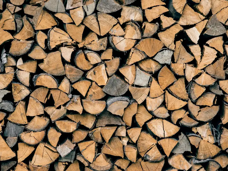 Gestapelte, trockene Buchenscheite in einem Holzlager